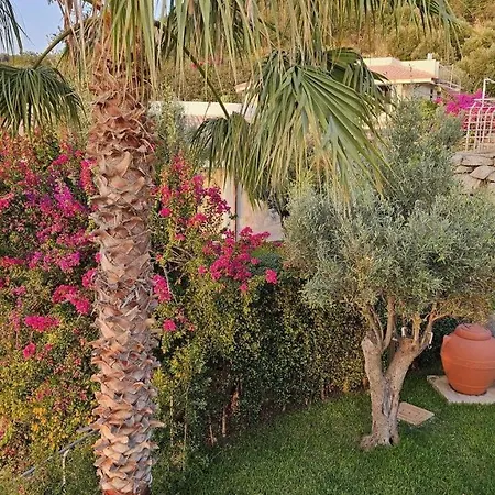 Jolanda - Costa Degli Dei Villa *