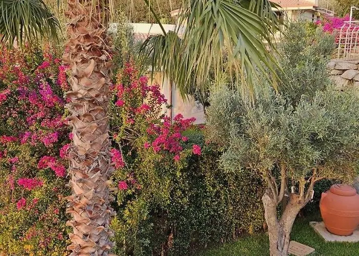 Jolanda - Costa Degli Dei فيلة *